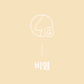 비염 안내